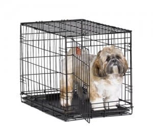 Best Dog Crates 2025
