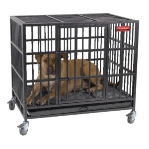 ProSelect Empire Dog Crate