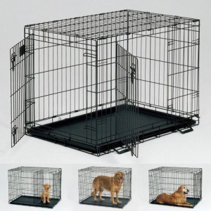 Crate Training Basics