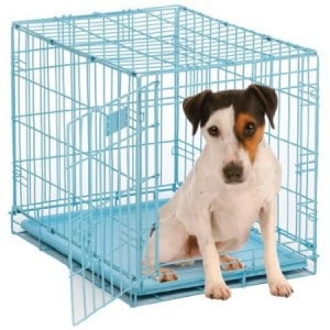 how to get dog to stop barking in crate