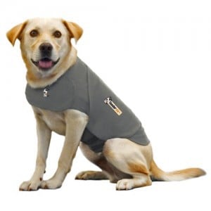 Thundershirt For Dog Anxiety