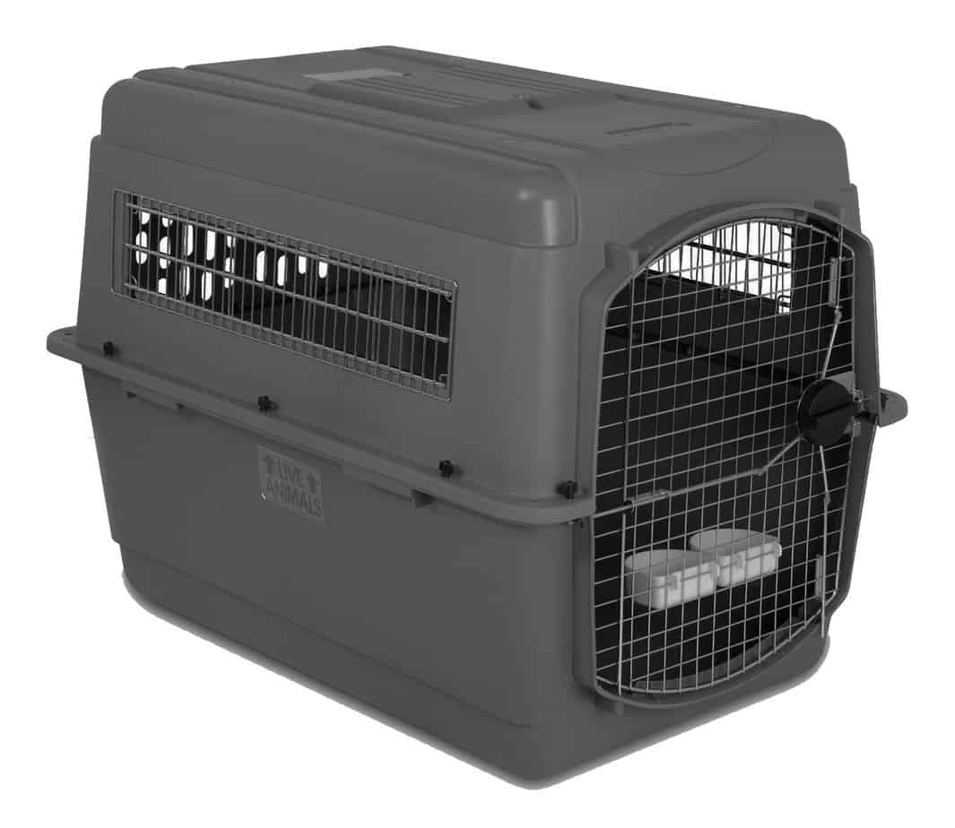 IATA Airline Approved Dog Crates / Kennels For Flying With ...