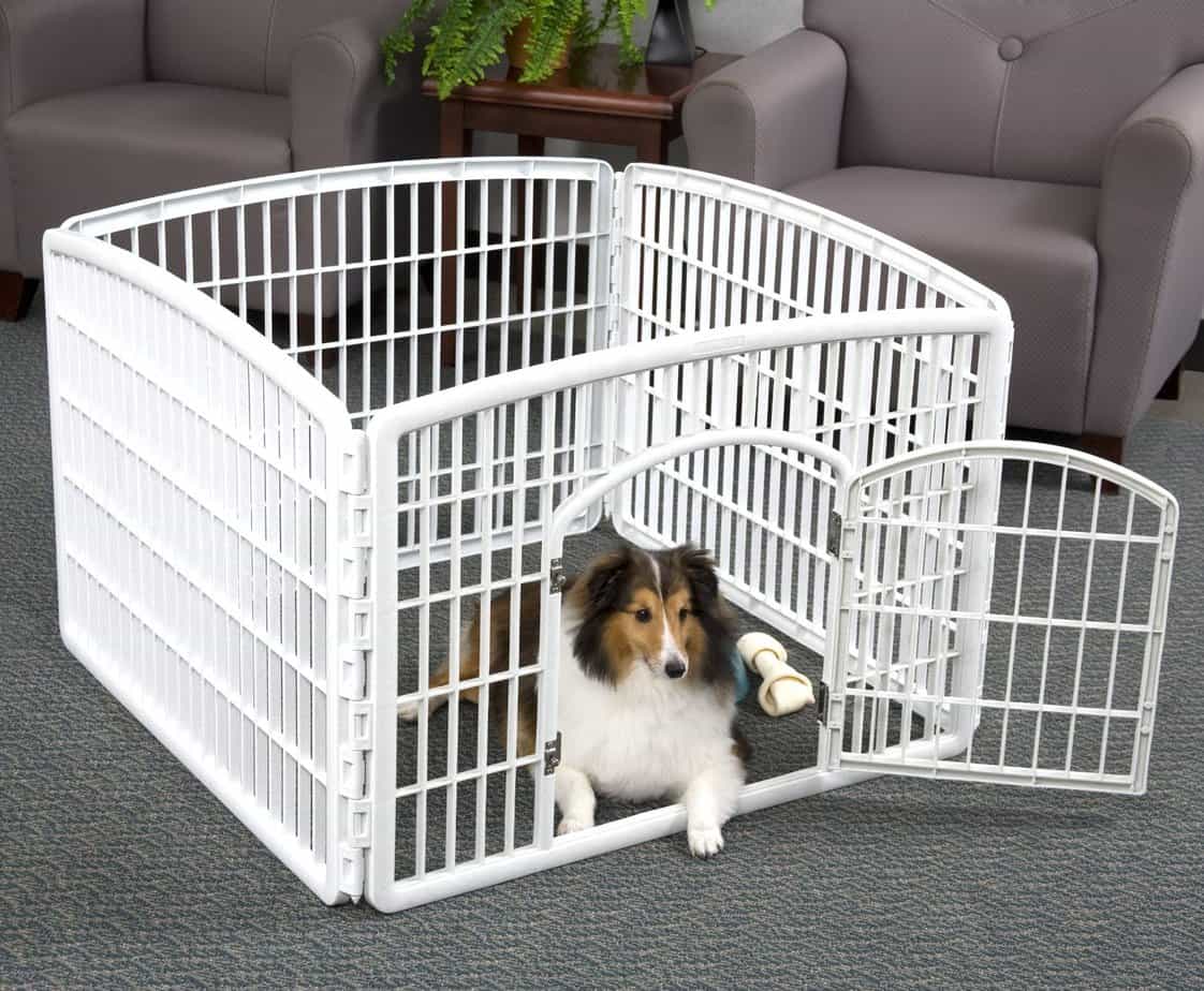 dog playpen